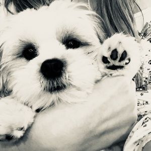 Meet your Posher, Grace